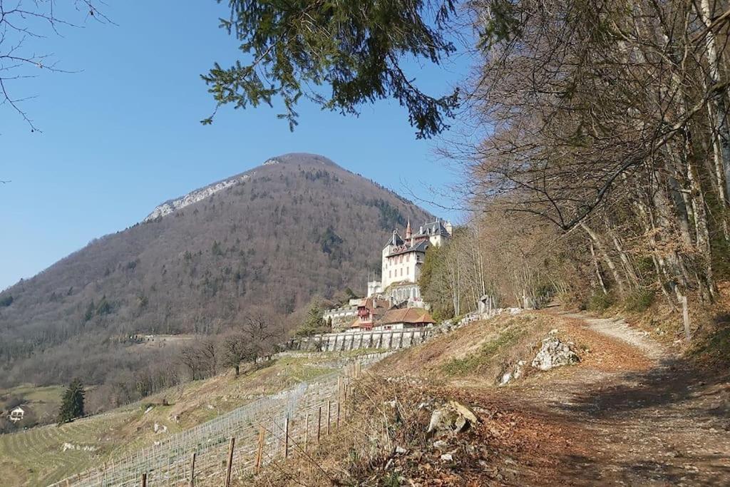 Charmant Appartement Lac D'Annecy / Ski - 6 Pers Menthon-Saint-Bernard Exteriör bild